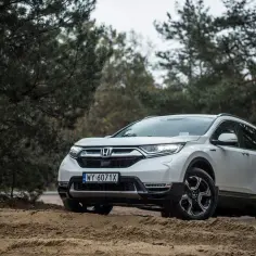 Biała Honda CRV 2020 na piaszczystej drodze w lesie.