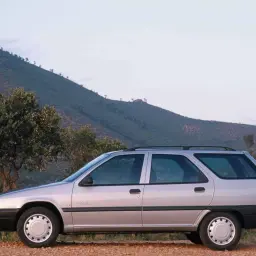 Srebrny Citroen ZX Break na tle pagórkowatego krajobrazu.