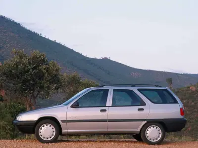 Srebrny Citroen ZX Break na tle pagórkowatego krajobrazu.